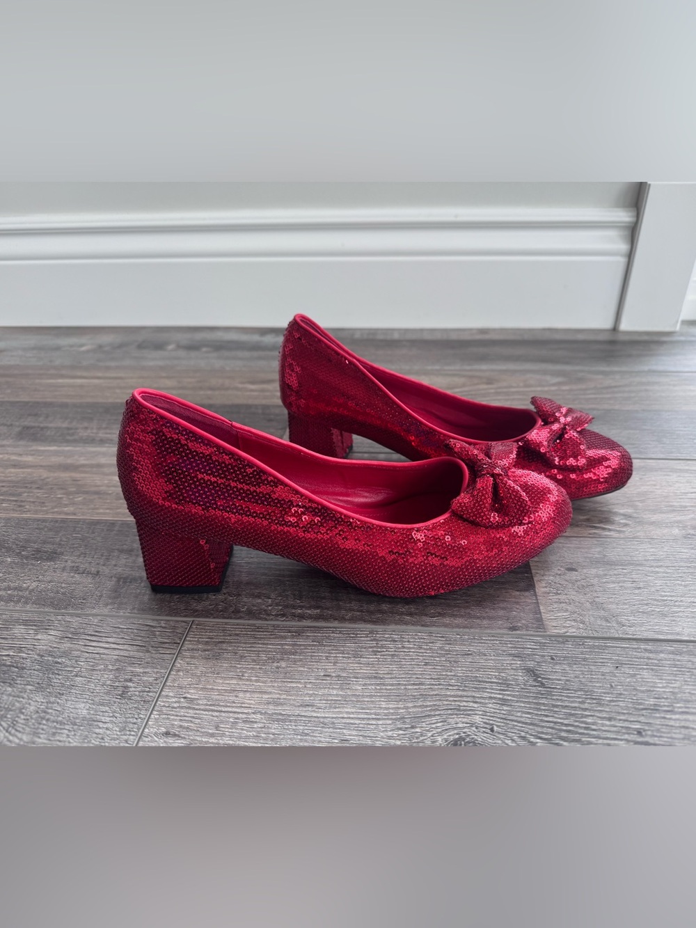 Wizard of Oz- Dorothy Ruby Red Slippers